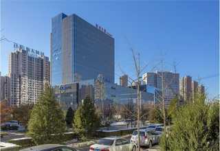 江苏质量黄花菜代理价钱