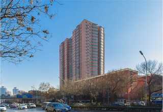 上海姜黄烘干机机器