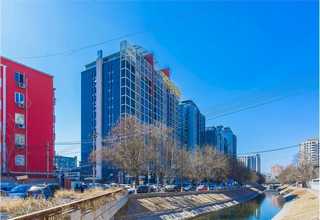 金属硅胶提纯剂