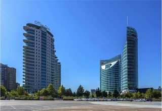 山东聚酯多元醇弹性体生产厂家